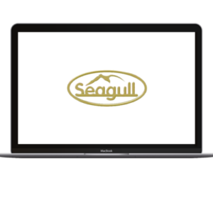 Seagull CES 6.0.11